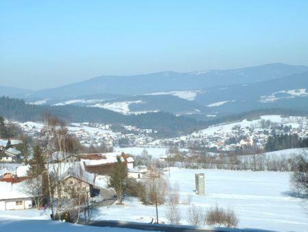 Haus Bergblick Bay. Wald Apartment Prackenbach Exterior photo