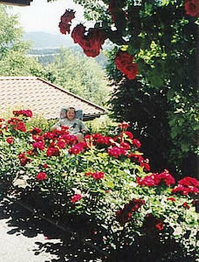 Haus Bergblick Bay. Wald Apartment Prackenbach Exterior photo